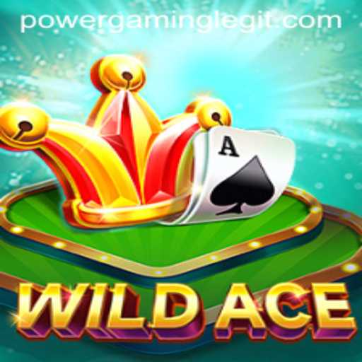 WildAce and PowerGaming: An Exciting New Era in Virtual Adventure